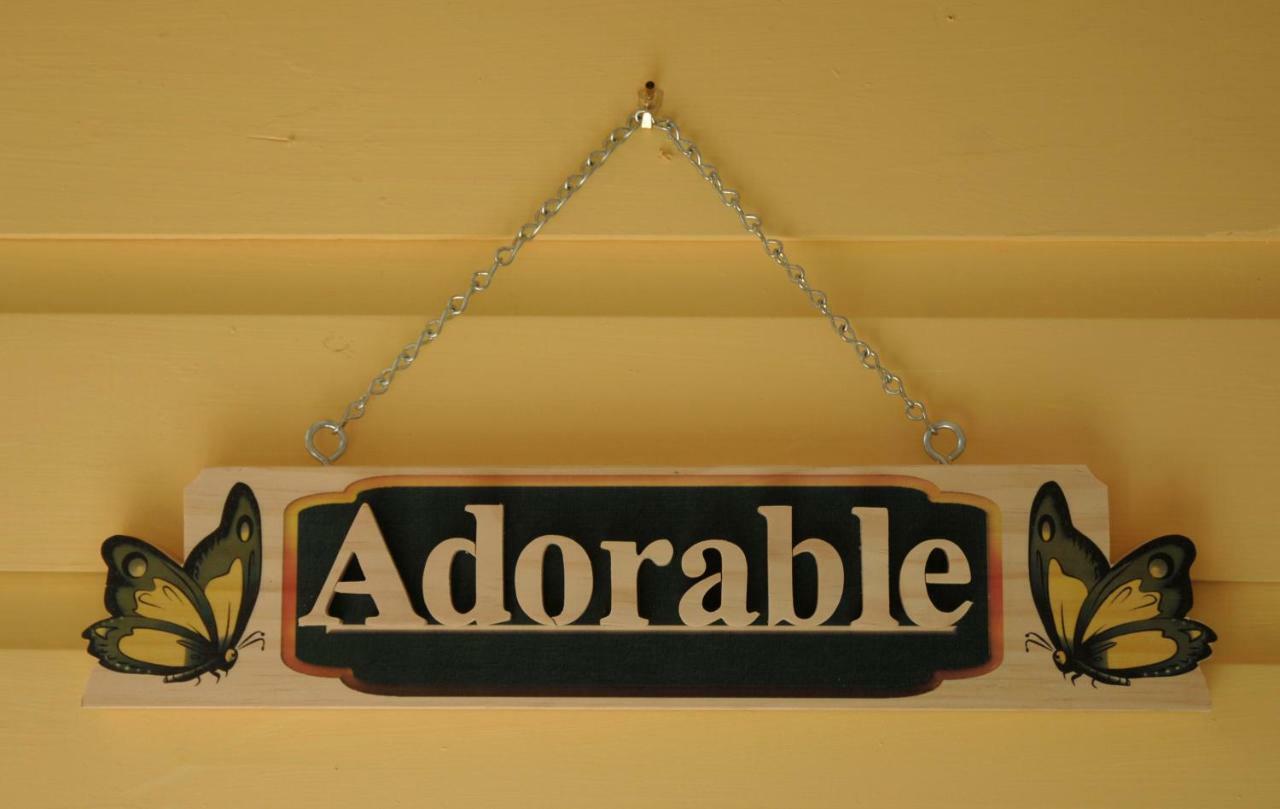 Adorable Historic Downtown Apartment St. Augustine Εξωτερικό φωτογραφία